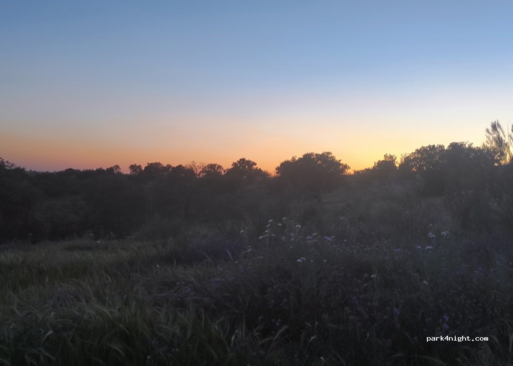 (14470) El Viso - — foto 3