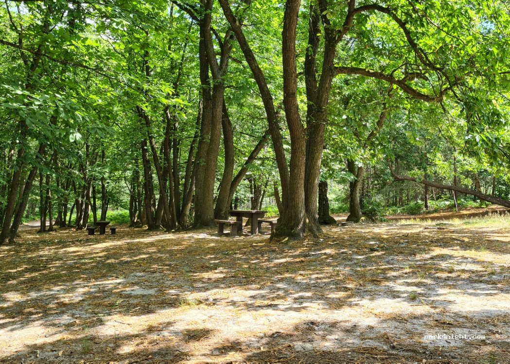 (91680) Bruyères-le-Châtel - Unnamed Road — foto 3