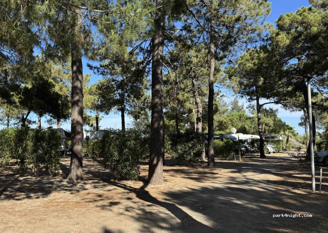 Camping Le Soleil***** — foto 3