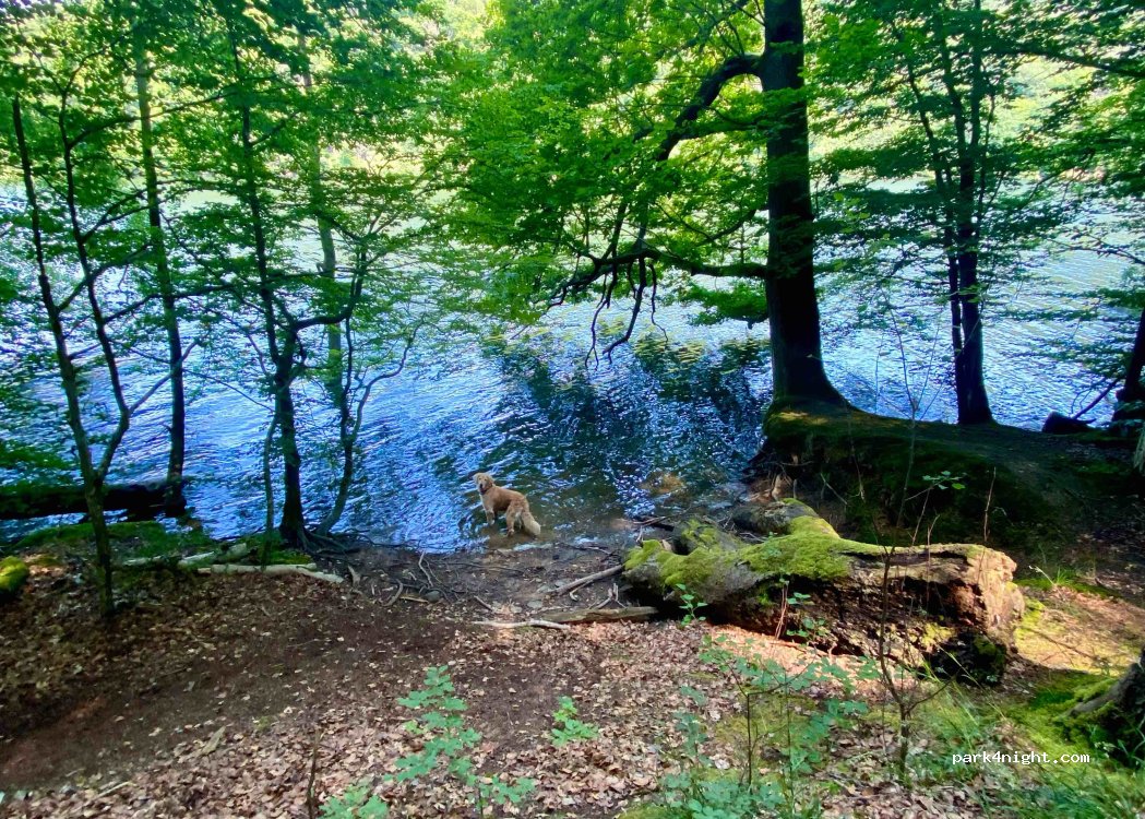 Camping dans la baie de Bringhäuser — foto