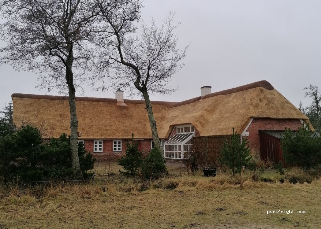 (6857) Blåvand - 53 Tane Hedevej — foto