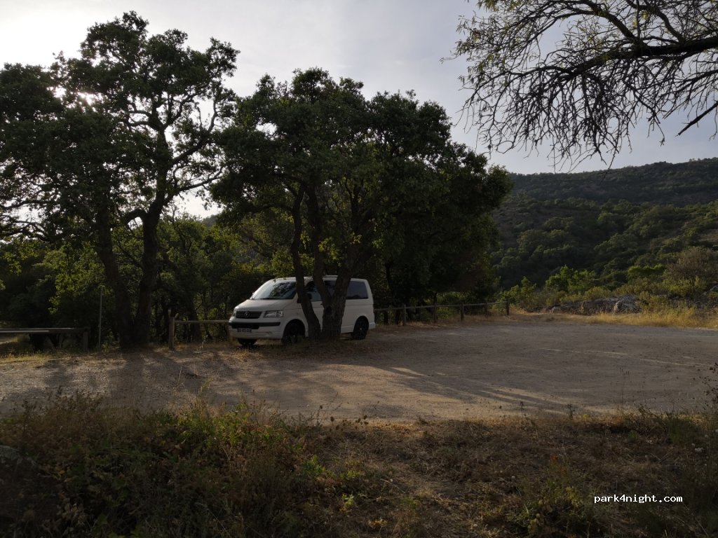 (83230) Bormes-les-Mimosas - D41 — foto