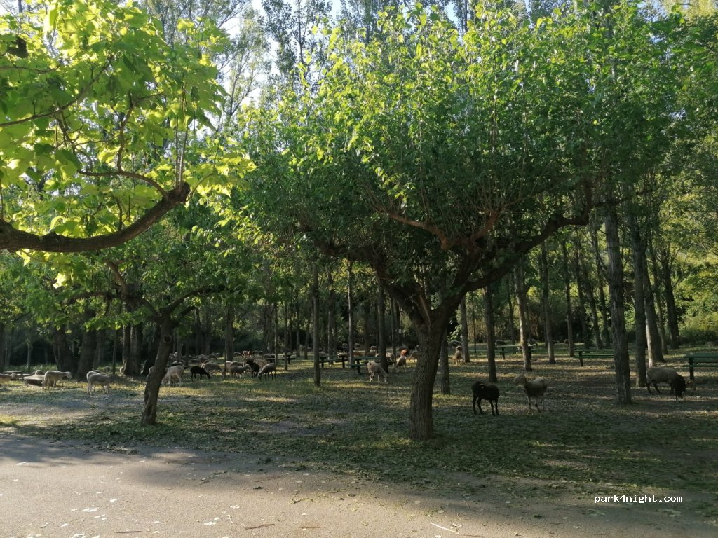 Paraje del Sargal — foto 2