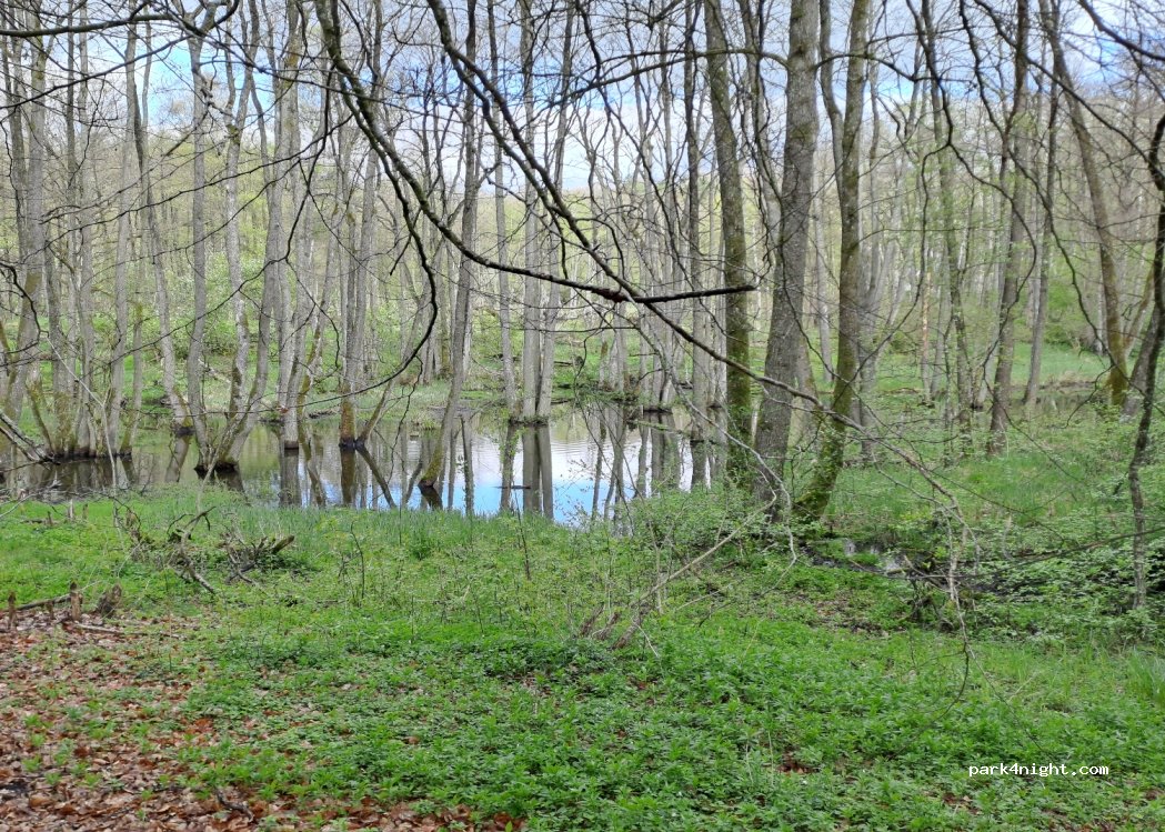 (76-230) Runowo - Unnamed Road — foto 3