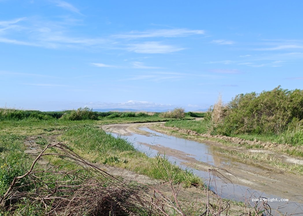 (35680) Yenibağarası - — foto 2