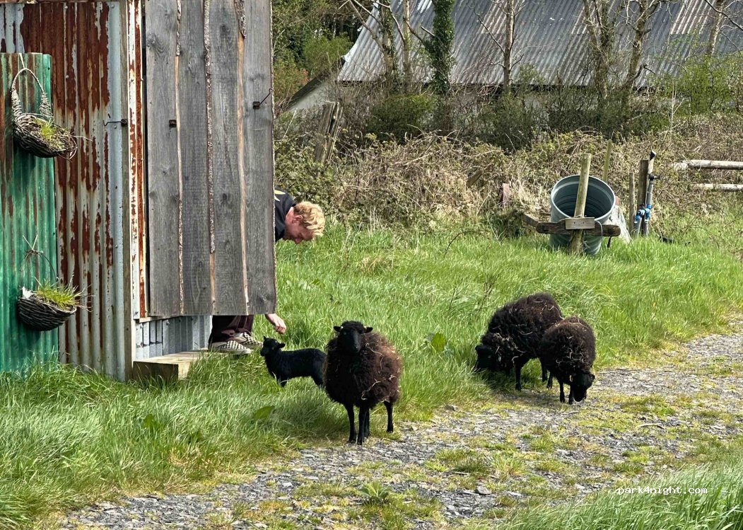 Dipple Farm — foto 2
