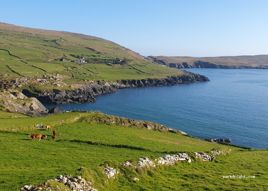 (P75 F588) Gortnacorragh - R572 — foto