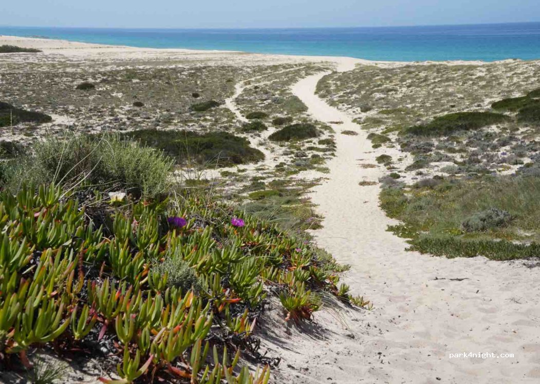 (7570) Melides - Estrada da Praia da Vigia — foto