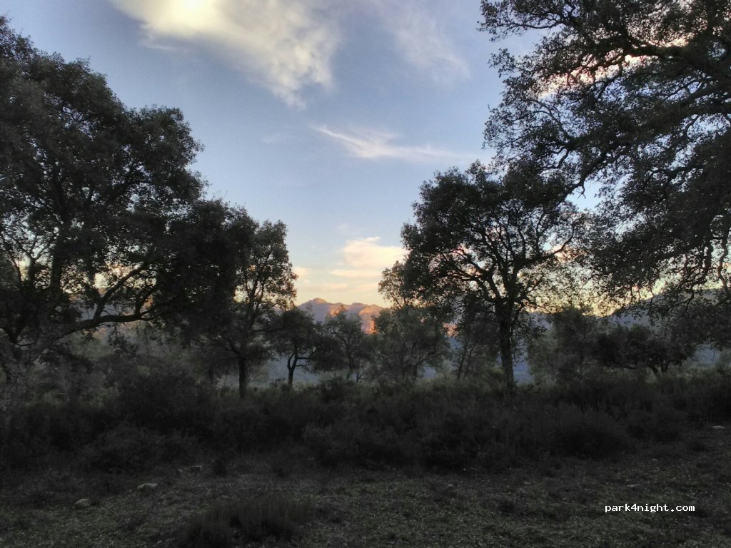 (29380) Cortes de la Frontera - Unnamed Road — foto