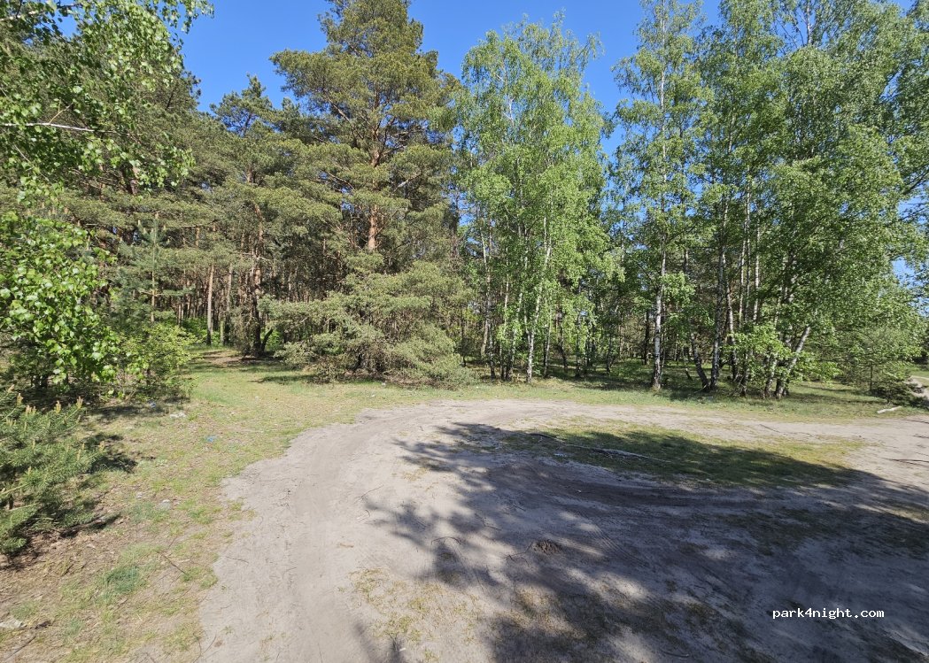 (87-100) Toruń - 25 Morwowa — foto 2