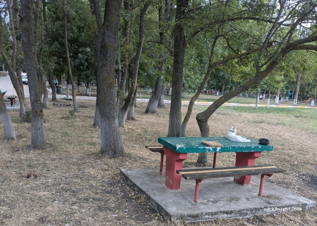(39750) Büyükkarıştıran - Unnamed Road — foto