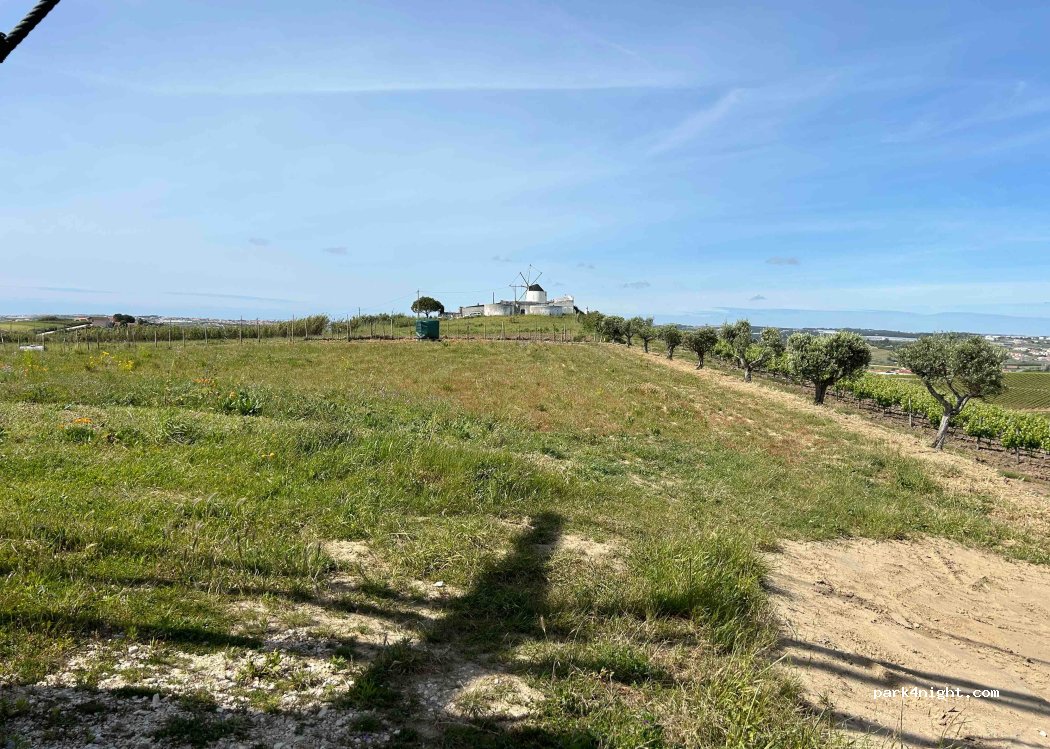 (2565) Bonabal - 10 Rua dos Moinhos — foto 4