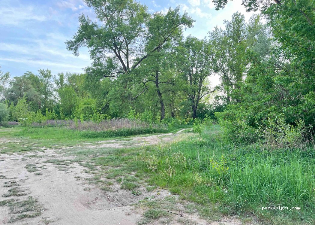 (27-320) Solec nad Wisłą - Unnamed road — foto