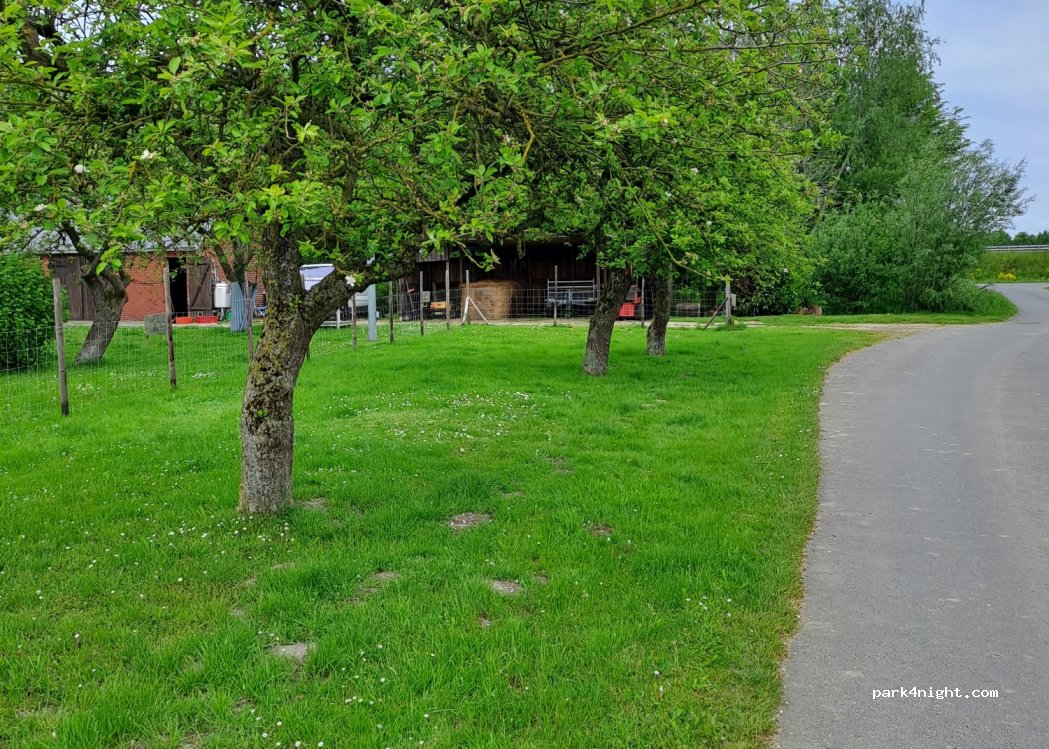 Stellplatz Apfelbaum — foto