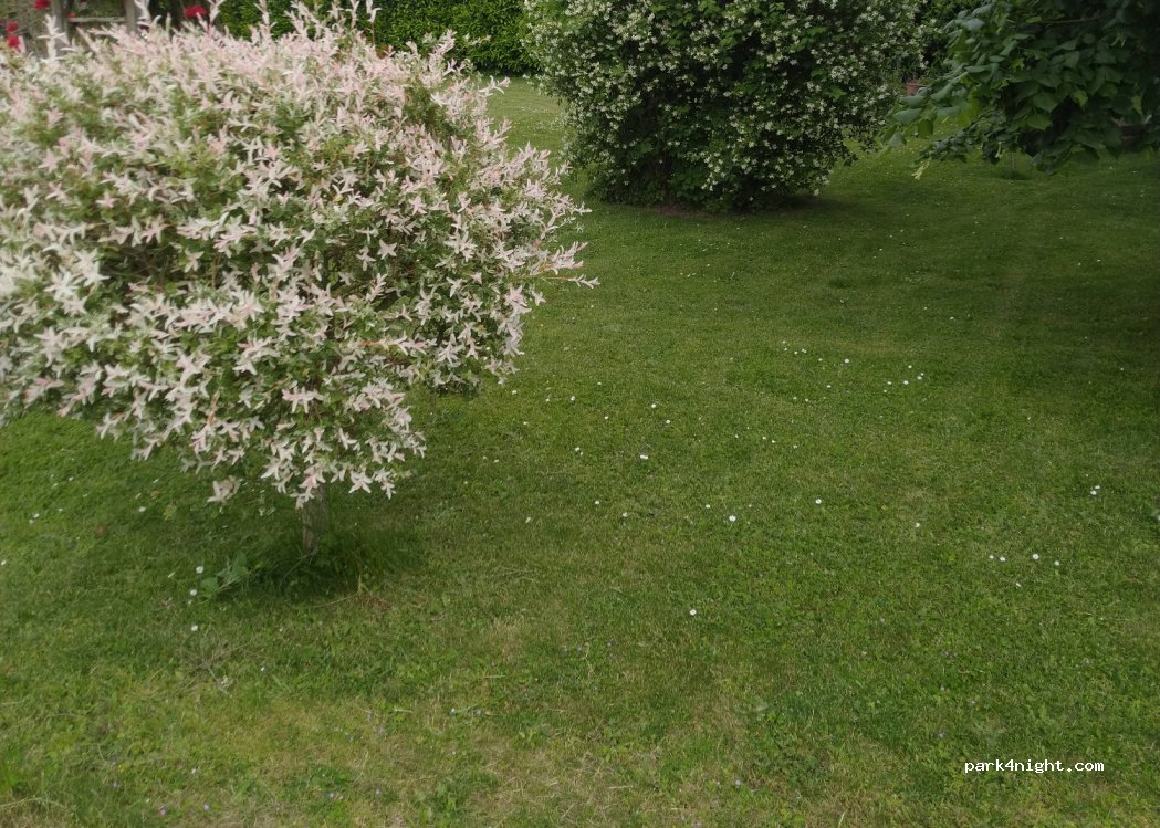 (72430) Fercé-sur-Sarthe - 11 Chemin du Bordage — foto