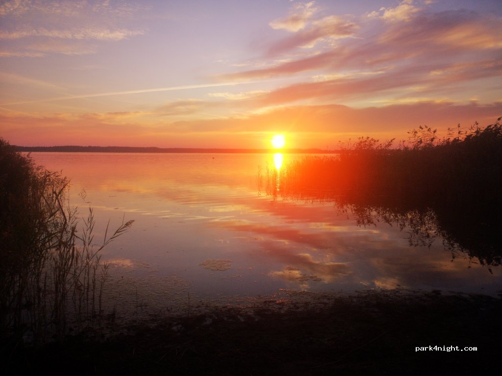 Inselcamping Werder — foto 3