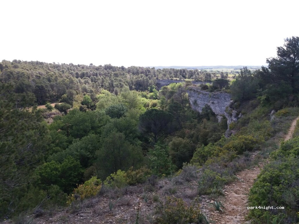 (11600) Aragon - D203 — foto