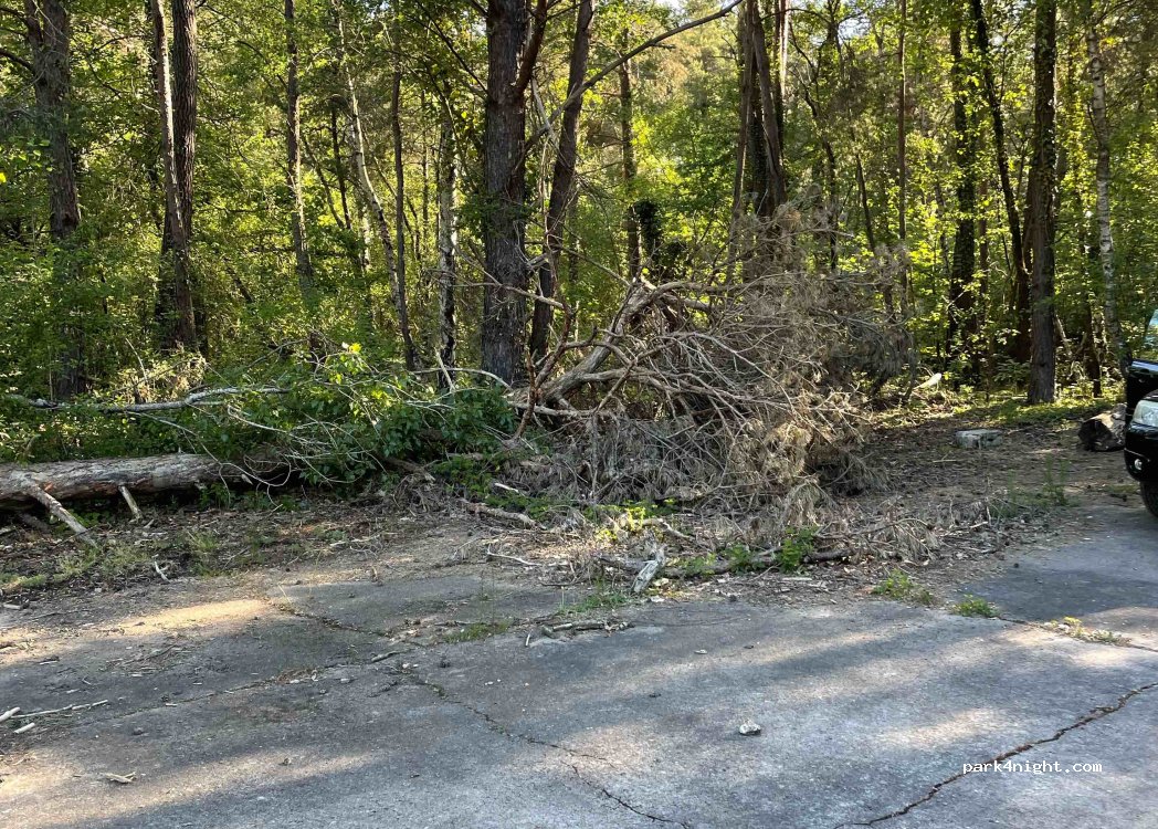 (37500) Saint-Benoît-la-Forêt - — foto 3