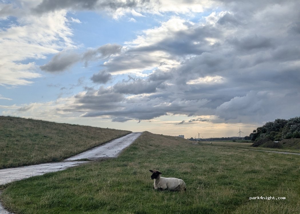 (25813) Simonsberg - 1 Lundenbergweg — foto 3