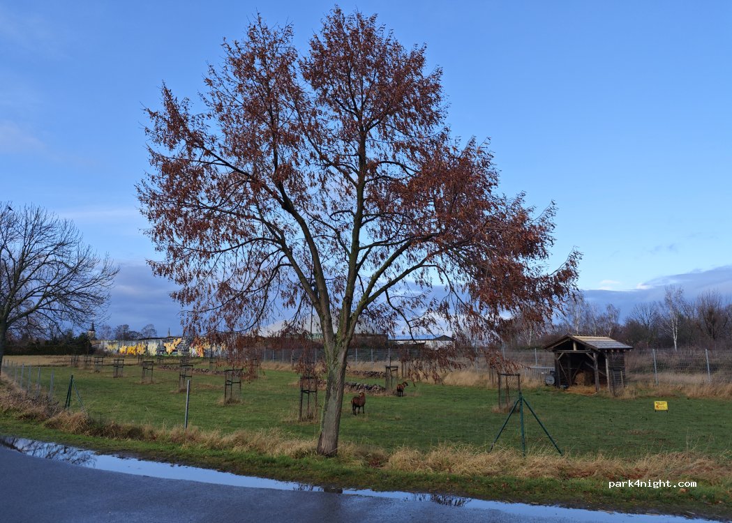 (04319) Leipzig - An der Weide — foto 3