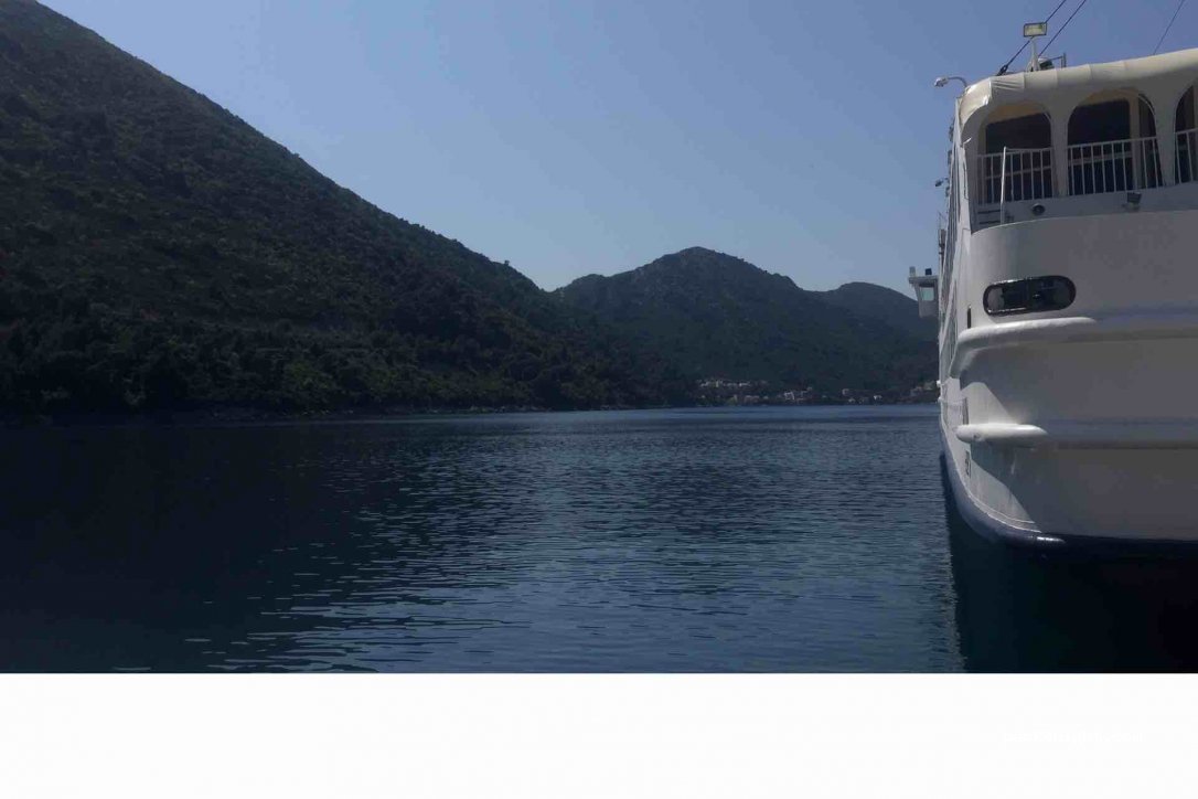 (20224) Prožura - D123 — foto