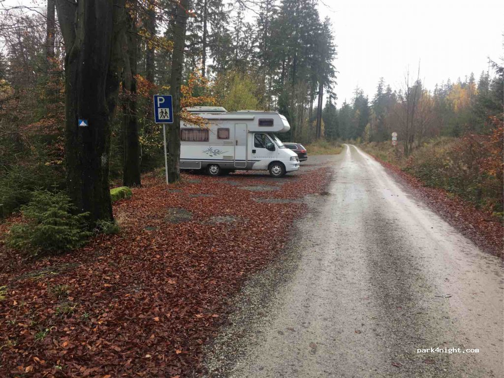 (95493) Bischofsgrüner Forst - BT13 — foto 2