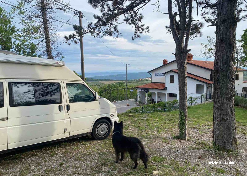 (6273)  - 1b Truške — foto 2