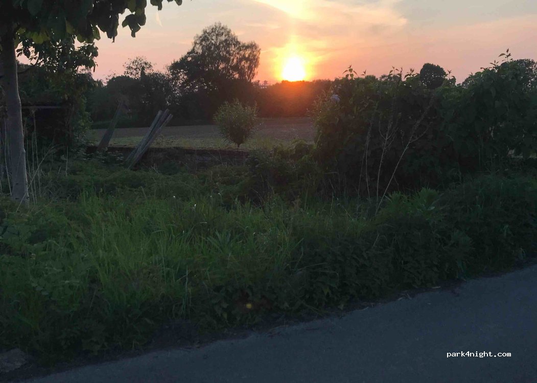Wildwuchs vom Hof — foto 3