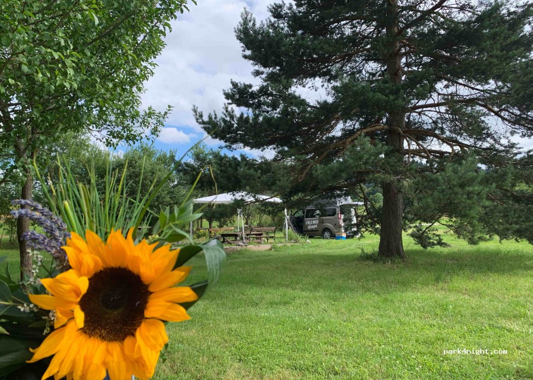 Camp Vivi — foto