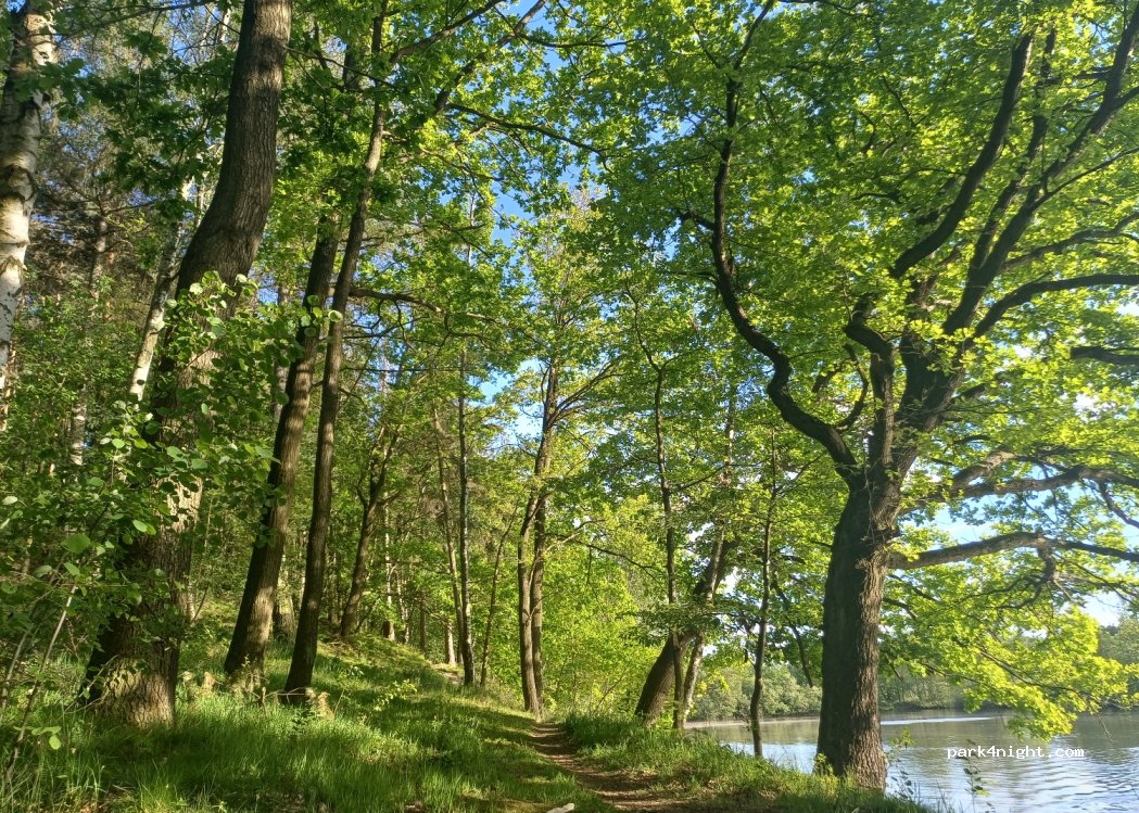 (02) Oderwitz - Unnamed Road — foto 2