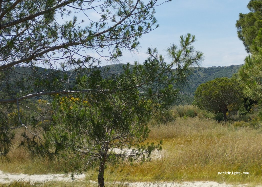 (17490) Llançà - — foto 3