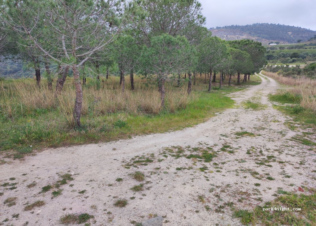 (17490) Llançà - — foto 5