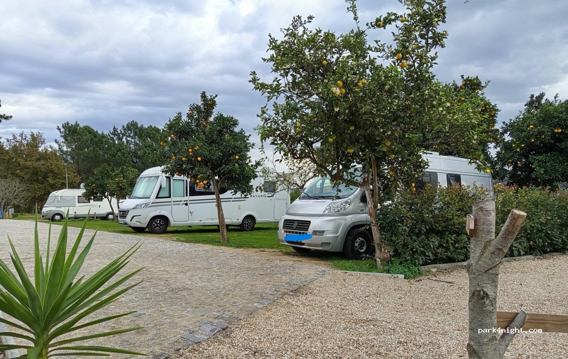 Bestpark Autocaravanas — foto 5