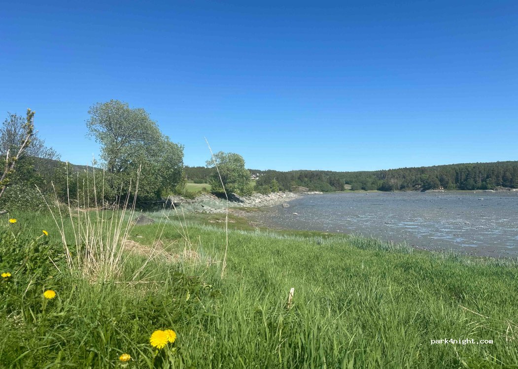 (7724) Steinkjer - — foto 2