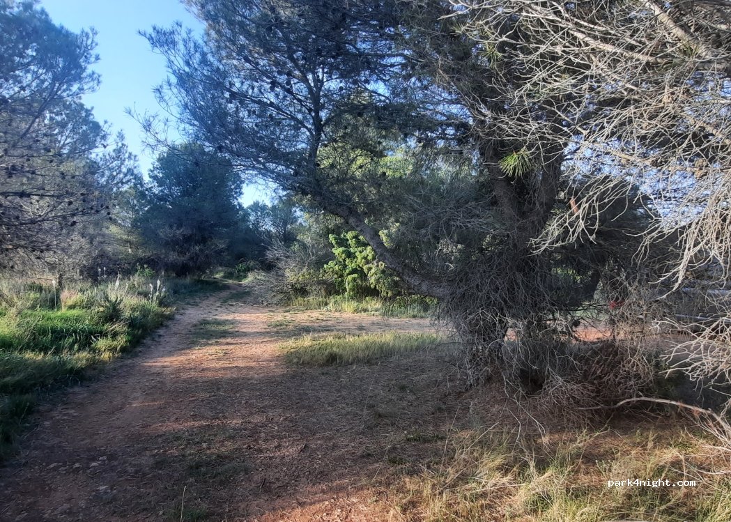 (31310) Carcastillo - — foto 5