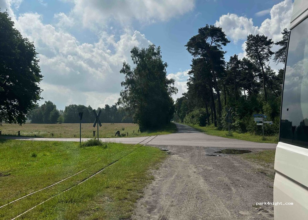 (49419) Wagenfeld - Forstweg — foto