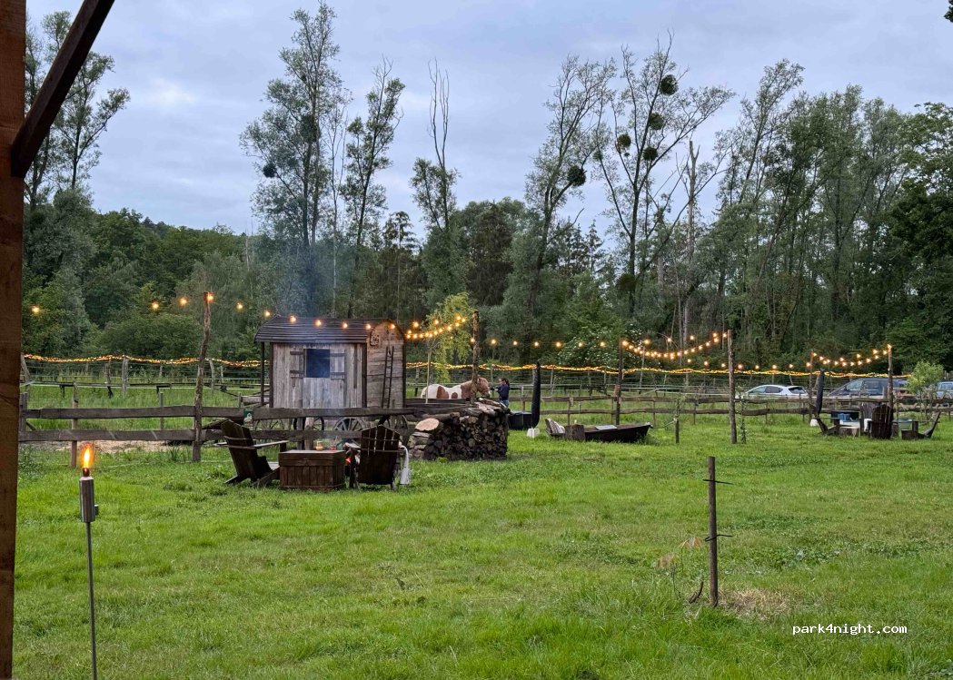 (51170) Savigny-sur-Ardres - — foto
