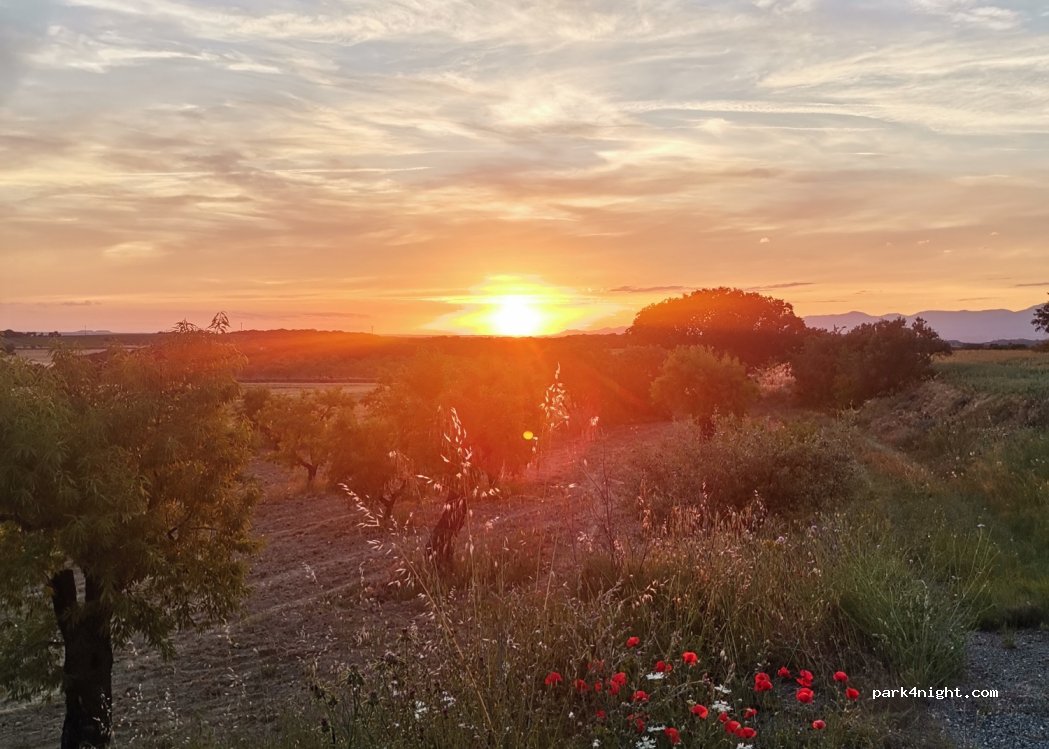 (22124) Lascellas-Ponzano - — foto 2