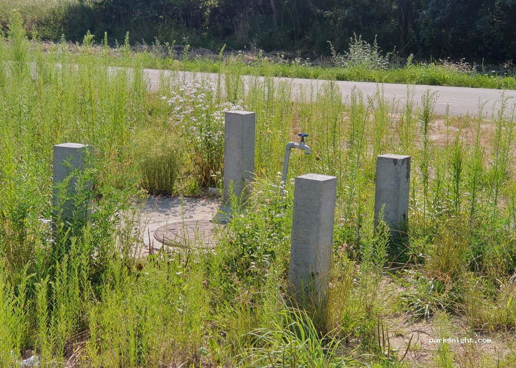 (22-448) Kulików - — foto 2