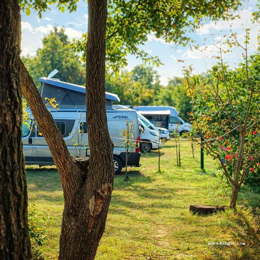 Camp Side of peace — foto