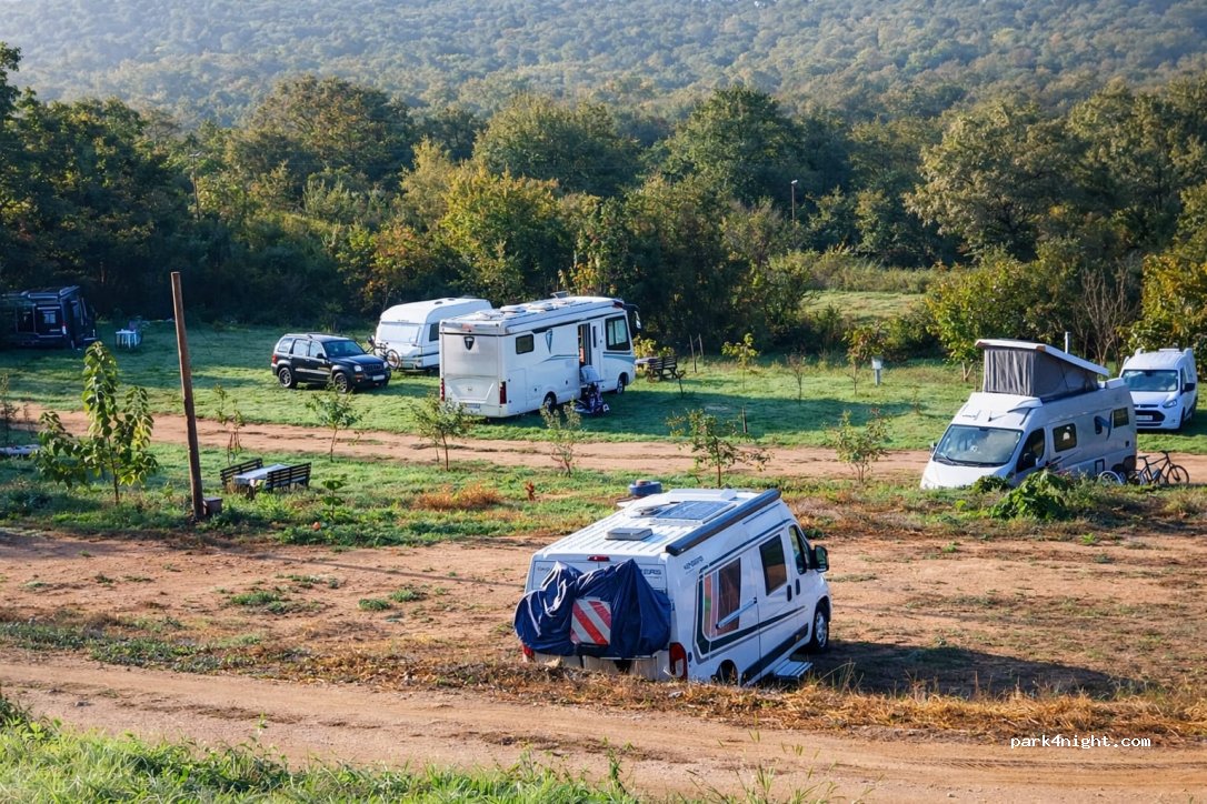 Camp Side of peace — foto 3