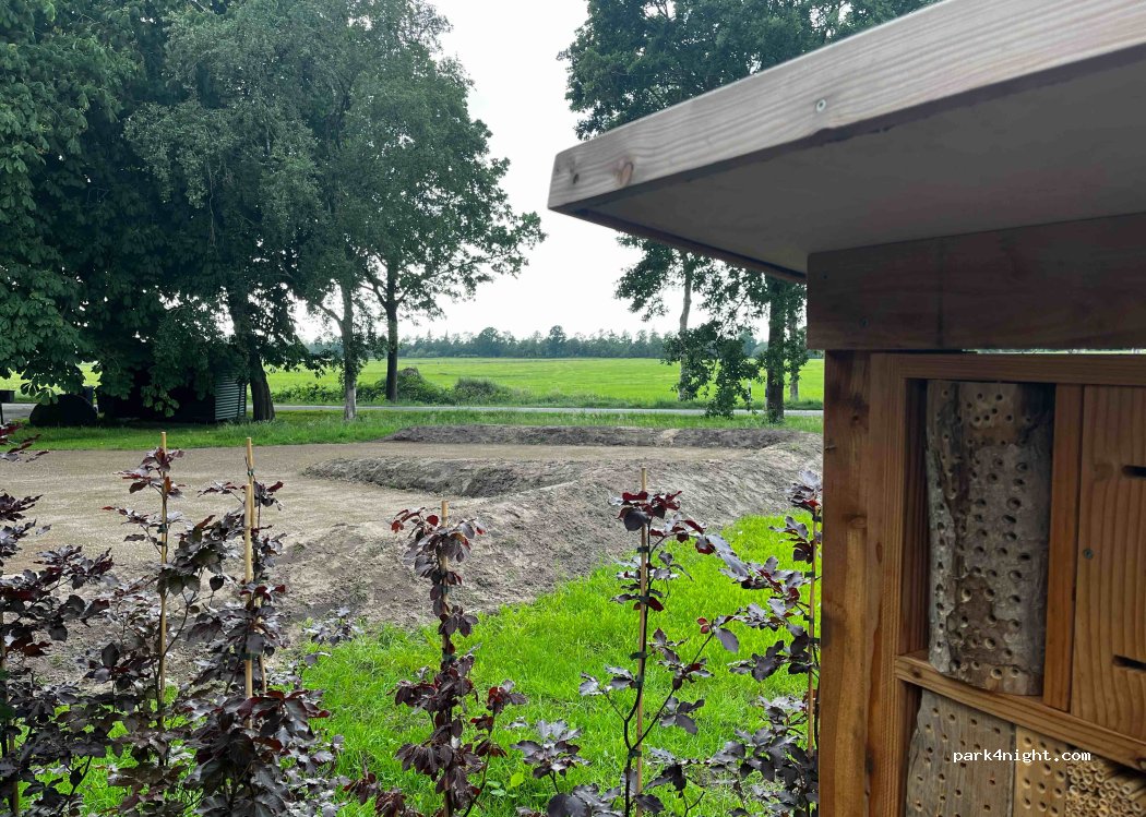 Heidelbeeren aus dem Ahlenmoor — foto
