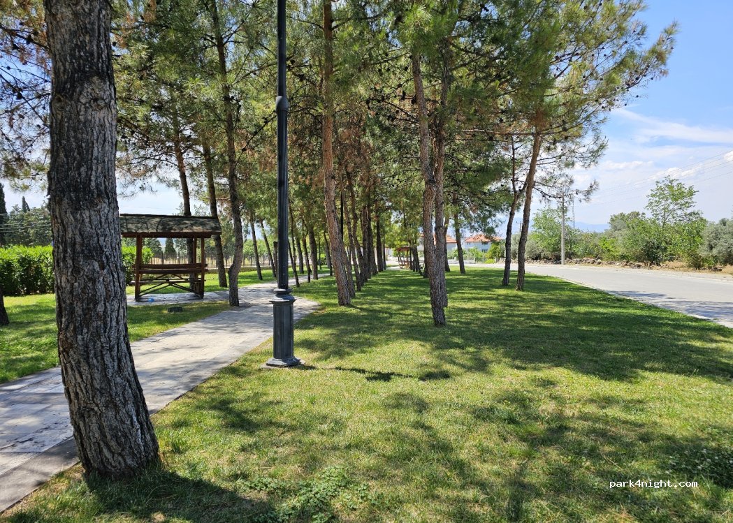 (20190) Pamukkale - Fatih Cd — foto