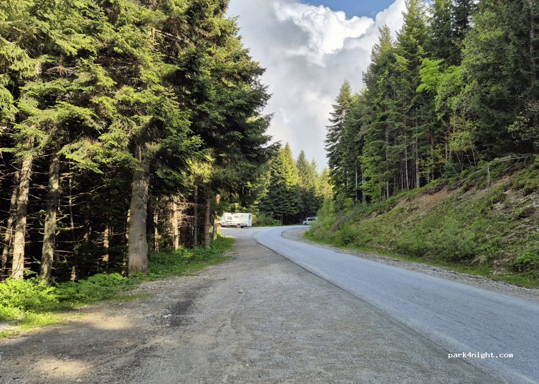 (2650) Panichishte - Unnamed Road — foto 2