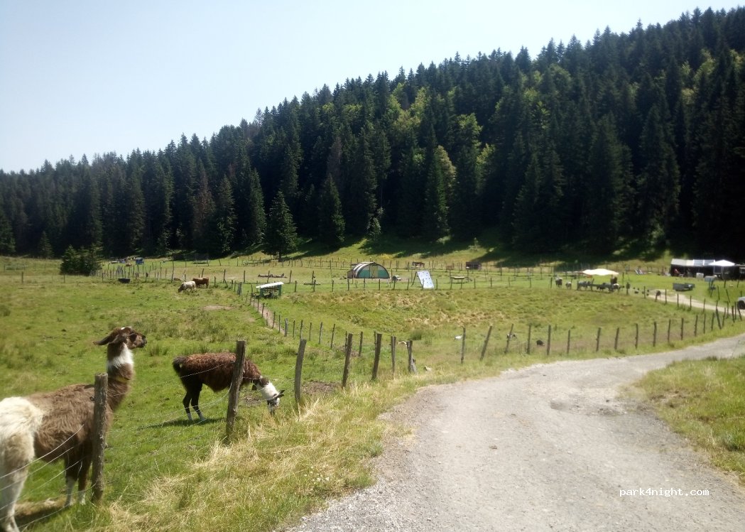 Ferme découverte de L'Enquerne — foto 3