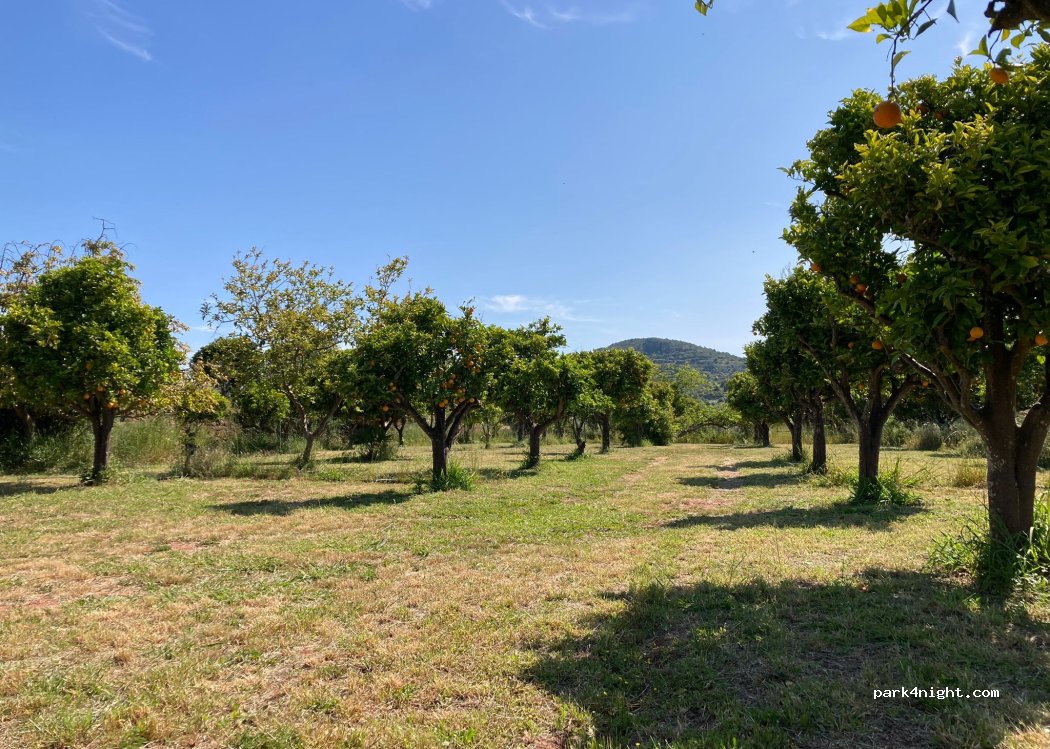 () São Bartolomeu de Messines - — foto 5