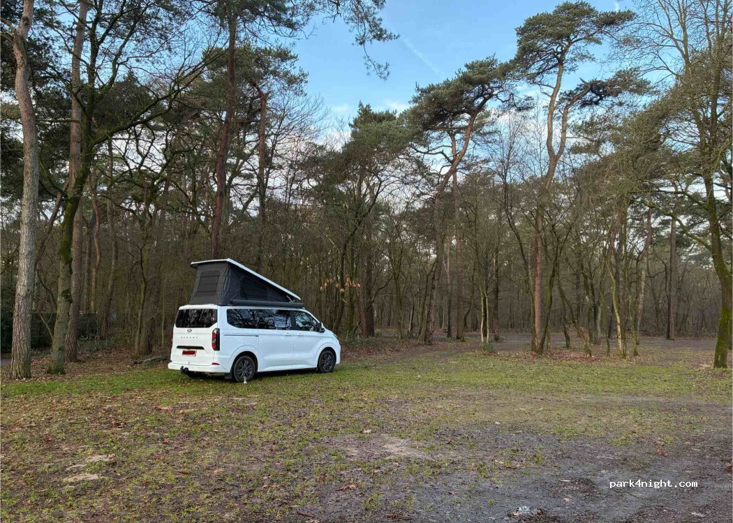 Parkeerplaats de IJzeren Man — foto 4