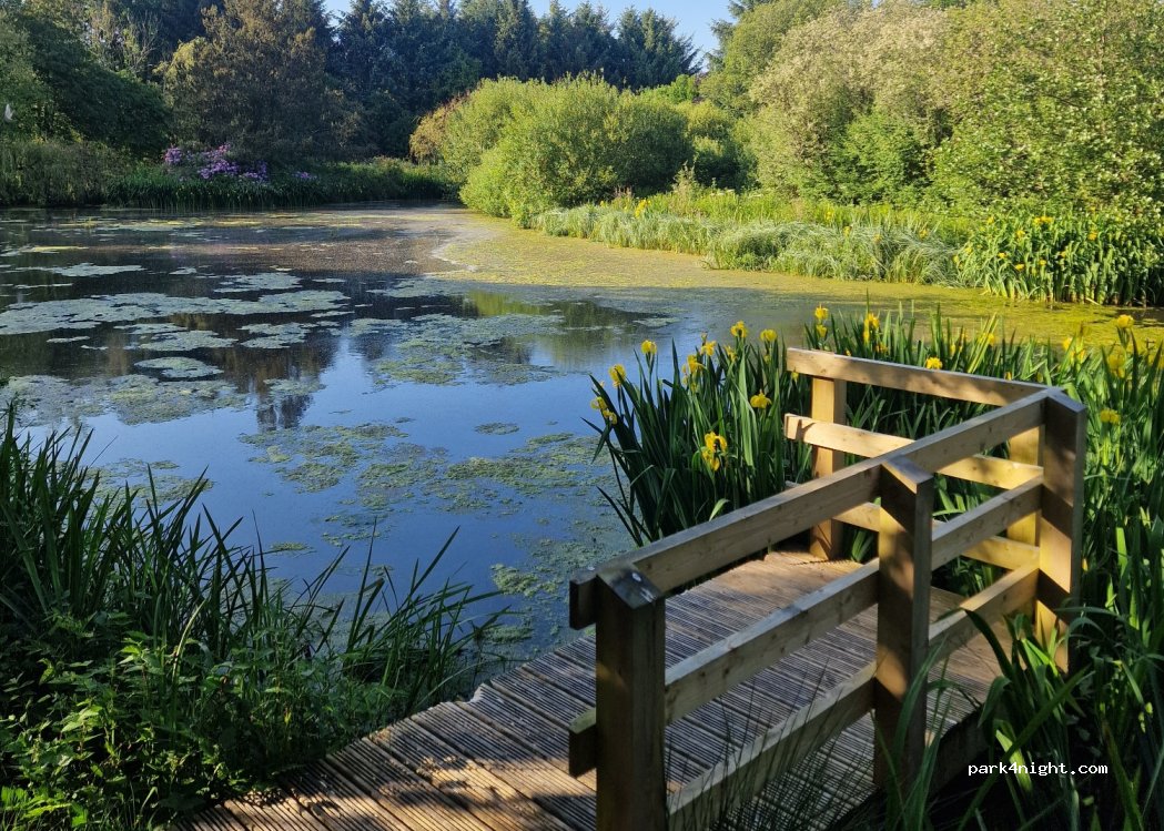 South Hoggs Hideaway — foto 2