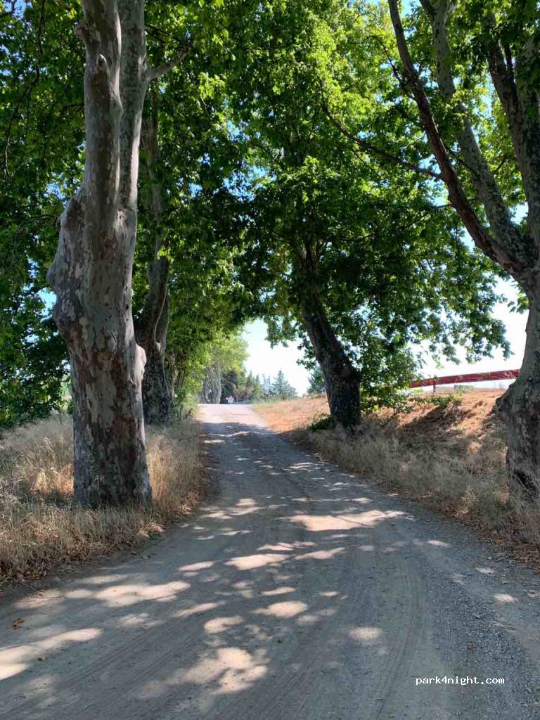(11200) Luc-sur-Orbieu - D61 — foto 2