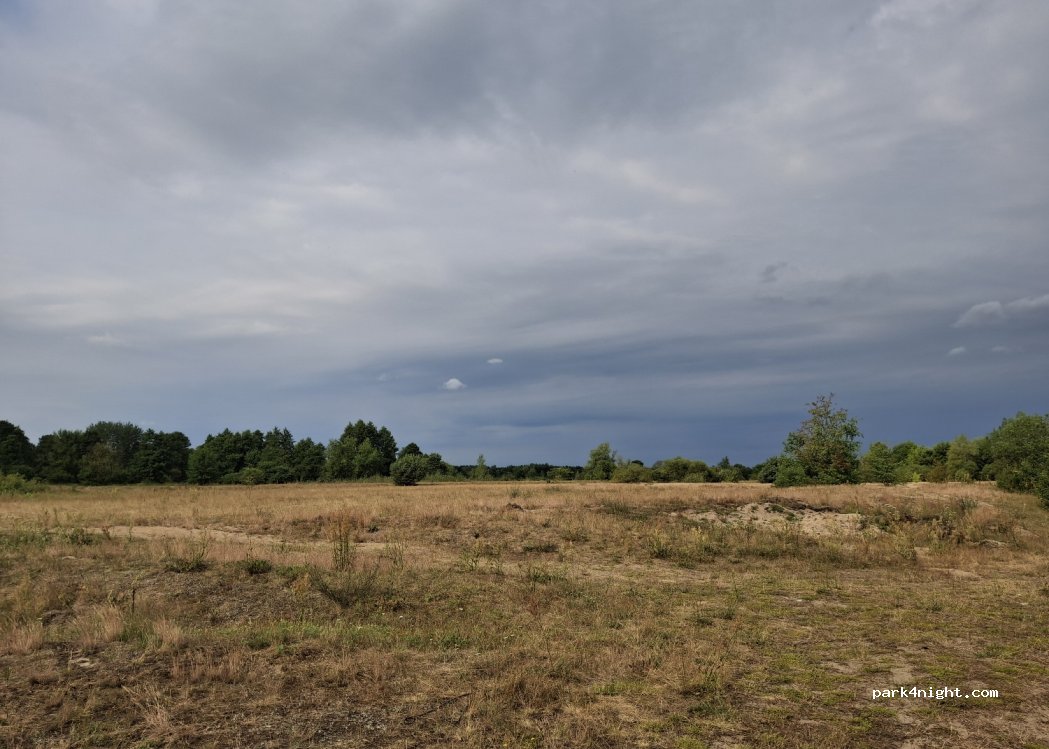 (26) Wyśmierzyce - — foto 2